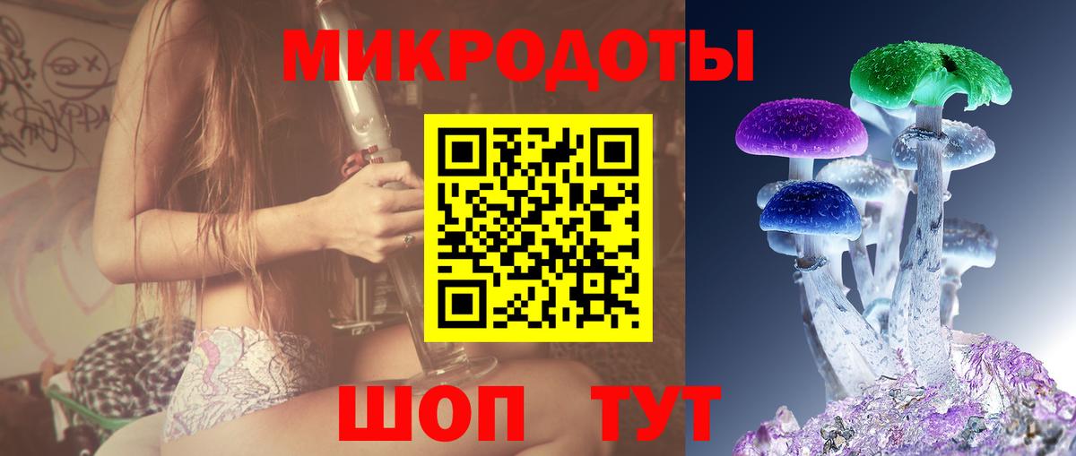 Галлюциногенные грибы мицелий Курчатов