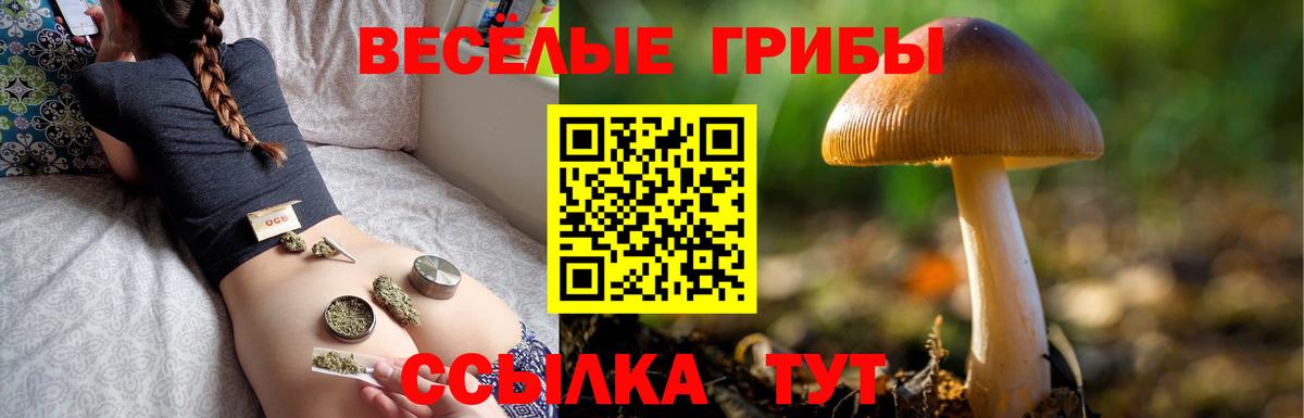 Галлюциногенные грибы Psilocybine cubensis  Псилоцибиновые грибы MAGIC MUSHROOMS  Курчатов  Вход с VPN 